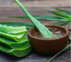 Unikveda Aloe Vera Gel