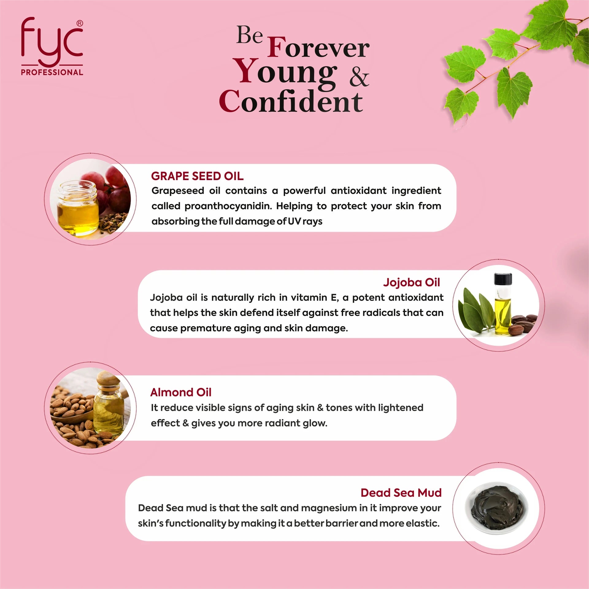 FYC PROFESSIONAL Red Wine 260 g